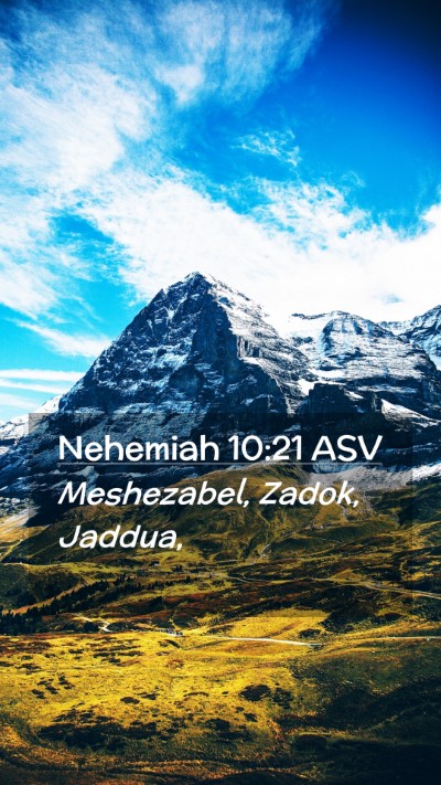 Picture 02 - Nehemiah 10:21 ASV Mobile Phone Wallpaper - Meshezabel, Zadok, - Mobile Bible Verse Wallpaper