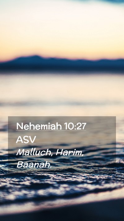 Picture 02 - Nehemiah 10:27 ASV Mobile Phone Wallpaper - Malluch, Harim, - Mobile Bible Verse Wallpaper
