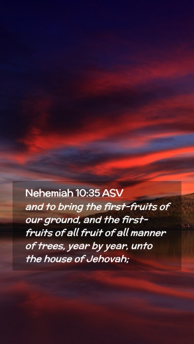 Picture 02 - Nehemiah 10:35 ASV Mobile Phone Wallpaper - and to bring the first-fruits of our ground, and - Mobile Bible Verse Wallpaper