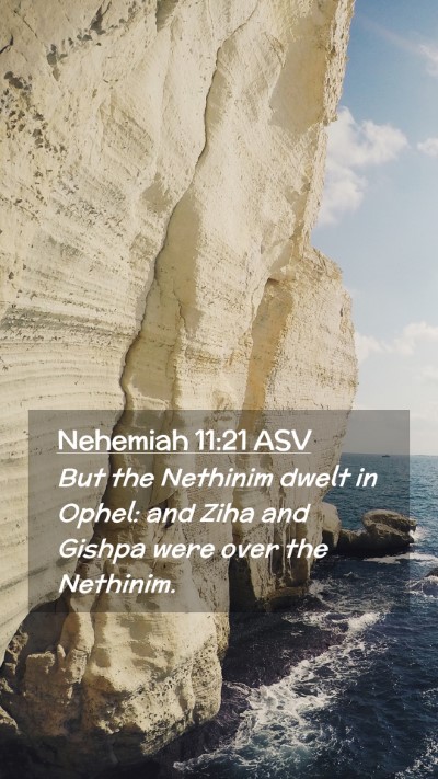 Picture 02 - Nehemiah 11:21 ASV Mobile Phone Wallpaper - But the Nethinim dwelt in Ophel: and Ziha and - Mobile Bible Verse Wallpaper