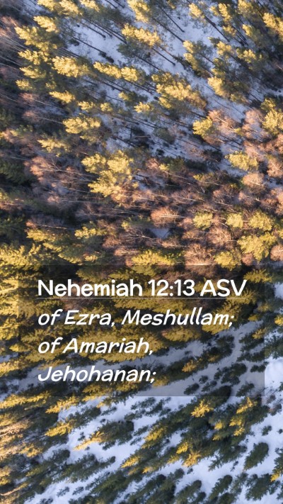 Picture 02 - Nehemiah 12:13 ASV Mobile Phone Wallpaper - of Ezra, Meshullam; of Amariah, - Mobile Bible Verse Wallpaper