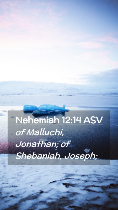 Picture 02 - Nehemiah 12:14 ASV Mobile Phone Wallpaper - of Malluchi, Jonathan; of Shebaniah, - Mobile Bible Verse Wallpaper