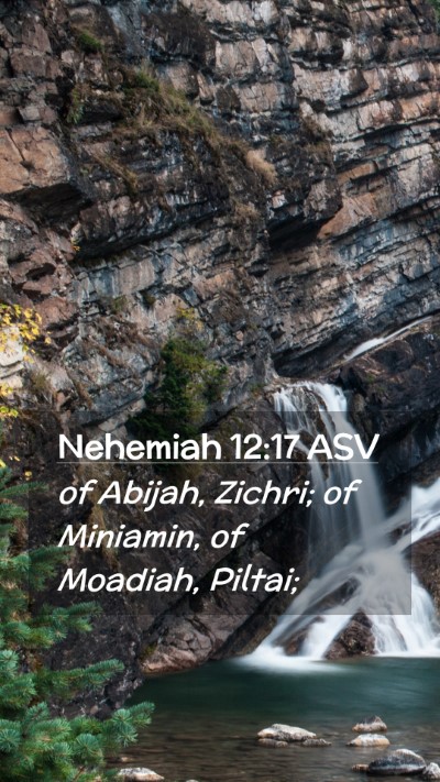 Picture 02 - Nehemiah 12:17 ASV Mobile Phone Wallpaper - of Abijah, Zichri; of Miniamin, of Moadiah, - Mobile Bible Verse Wallpaper