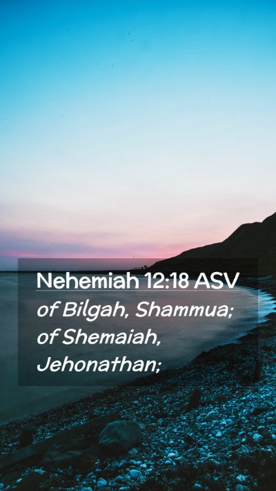 Picture 02 - Nehemiah 12:18 ASV Mobile Phone Wallpaper - of Bilgah, Shammua; of Shemaiah, - Mobile Bible Verse Wallpaper