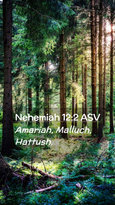 Picture 02 - Nehemiah 12:2 ASV Mobile Phone Wallpaper - Amariah, Malluch, - Mobile Bible Verse Wallpaper