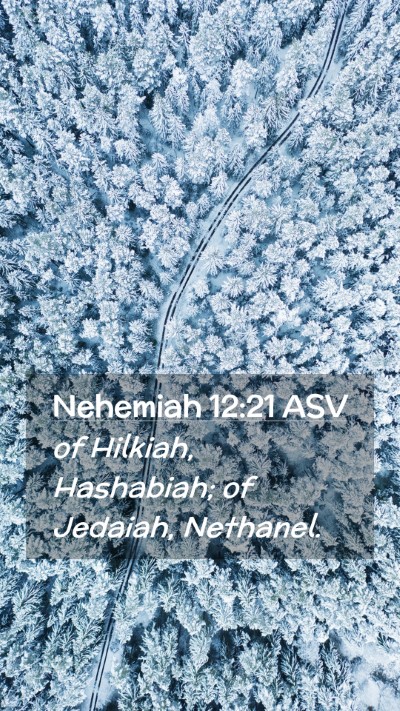 Picture 02 - Nehemiah 12:21 ASV Mobile Phone Wallpaper - of Hilkiah, Hashabiah; of Jedaiah, - Mobile Bible Verse Wallpaper