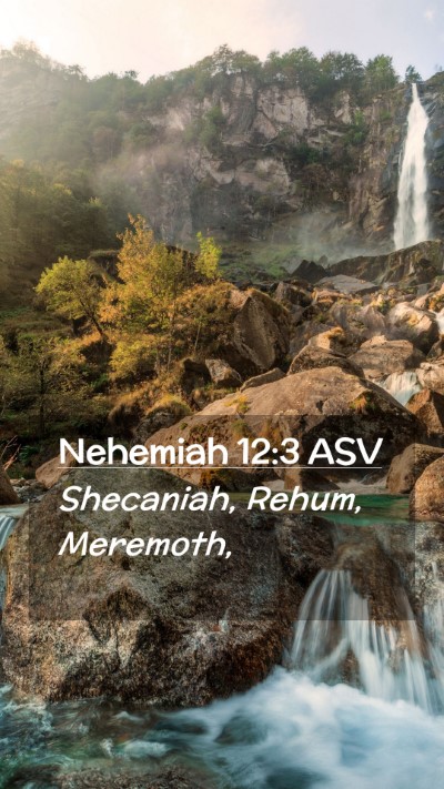 Picture 02 - Nehemiah 12:3 ASV Mobile Phone Wallpaper - Shecaniah, Rehum, - Mobile Bible Verse Wallpaper