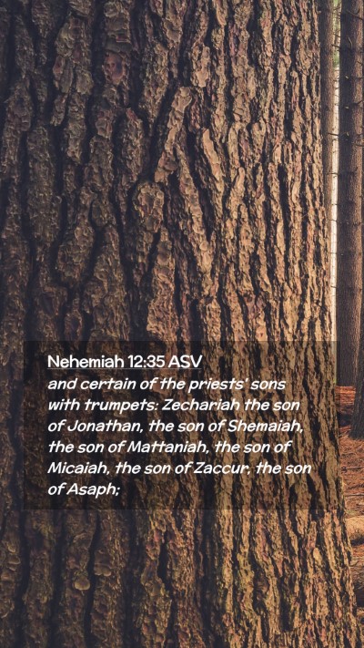 Picture 02 - Nehemiah 12:35 ASV Mobile Phone Wallpaper - and certain of the priests' sons with trumpets: - Mobile Bible Verse Wallpaper
