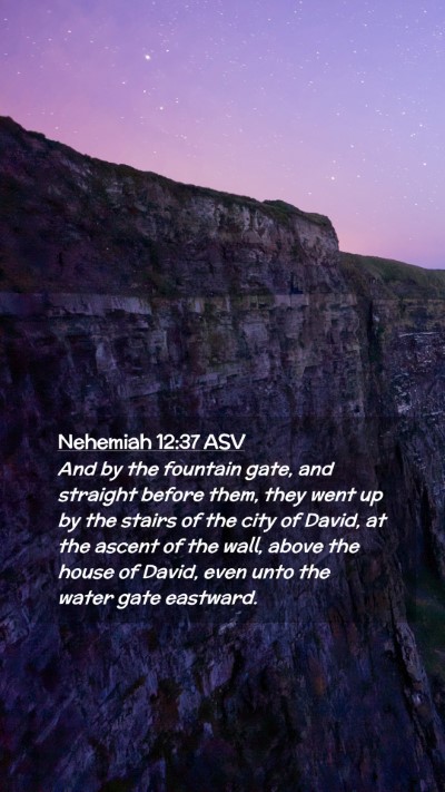 Picture 02 - Nehemiah 12:37 ASV Mobile Phone Wallpaper - And by the fountain gate, and straight before - Mobile Bible Verse Wallpaper