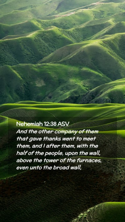 Picture 02 - Nehemiah 12:38 ASV Mobile Phone Wallpaper - And the other company of them that gave thanks - Mobile Bible Verse Wallpaper