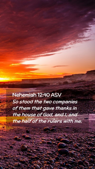 Picture 02 - Nehemiah 12:40 ASV Mobile Phone Wallpaper - So stood the two companies of them that gave - Mobile Bible Verse Wallpaper