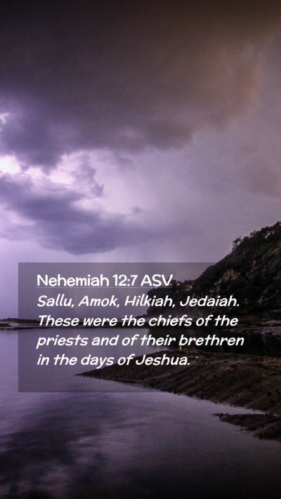 Picture 02 - Nehemiah 12:7 ASV Mobile Phone Wallpaper - Sallu, Amok, Hilkiah, Jedaiah. These were the - Mobile Bible Verse Wallpaper