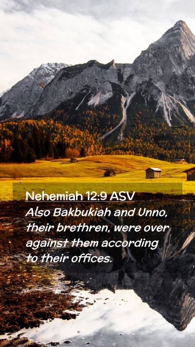 Picture 02 - Nehemiah 12:9 ASV Mobile Phone Wallpaper - Also Bakbukiah and Unno, their brethren, were - Mobile Bible Verse Wallpaper