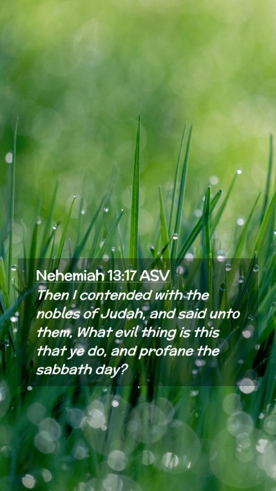 Picture 02 - Nehemiah 13:17 ASV Mobile Phone Wallpaper - Then I contended with the nobles of Judah, and - Mobile Bible Verse Wallpaper