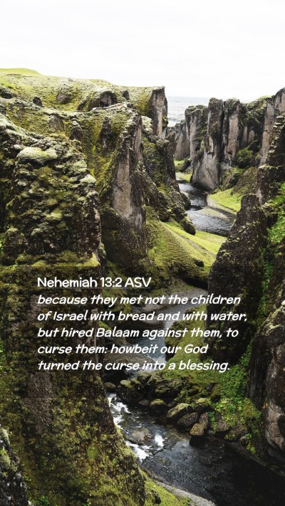 Picture 02 - Nehemiah 13:2 ASV Mobile Phone Wallpaper - because they met not the children of Israel with - Mobile Bible Verse Wallpaper