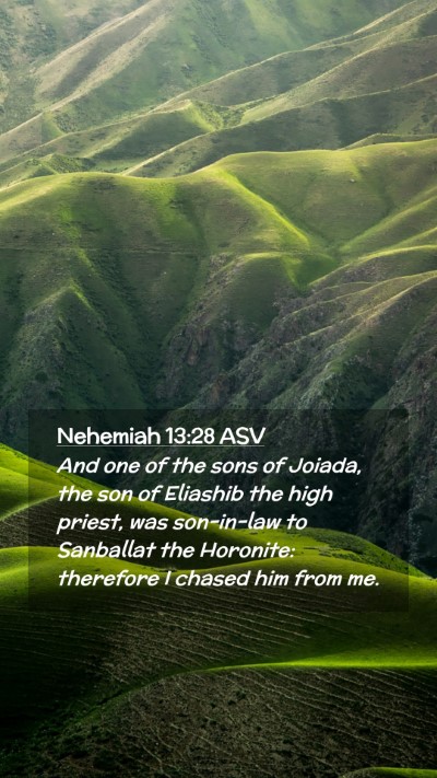 Picture 02 - Nehemiah 13:28 ASV Mobile Phone Wallpaper - And one of the sons of Joiada, the son of - Mobile Bible Verse Wallpaper