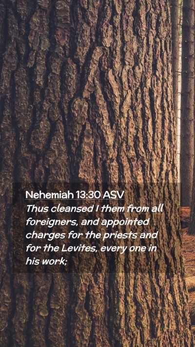 Picture 02 - Nehemiah 13:30 ASV Mobile Phone Wallpaper - Thus cleansed I them from all foreigners, and - Mobile Bible Verse Wallpaper