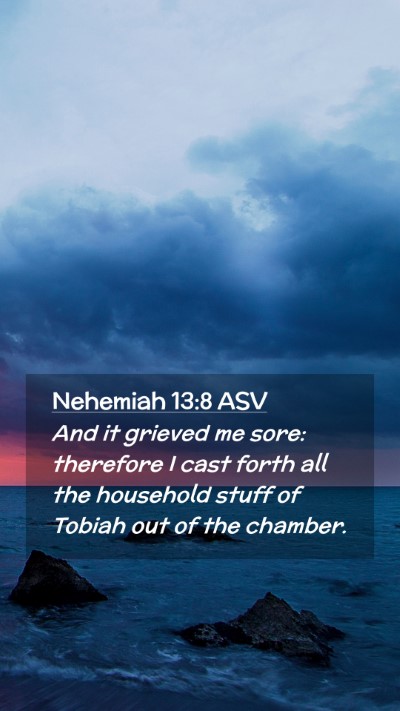 Picture 02 - Nehemiah 13:8 ASV Mobile Phone Wallpaper - And it grieved me sore: therefore I cast forth - Mobile Bible Verse Wallpaper