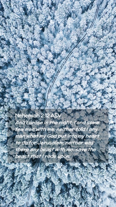 Picture 02 - Nehemiah 2:12 ASV Mobile Phone Wallpaper - And I arose in the night, I and some few men with - Mobile Bible Verse Wallpaper