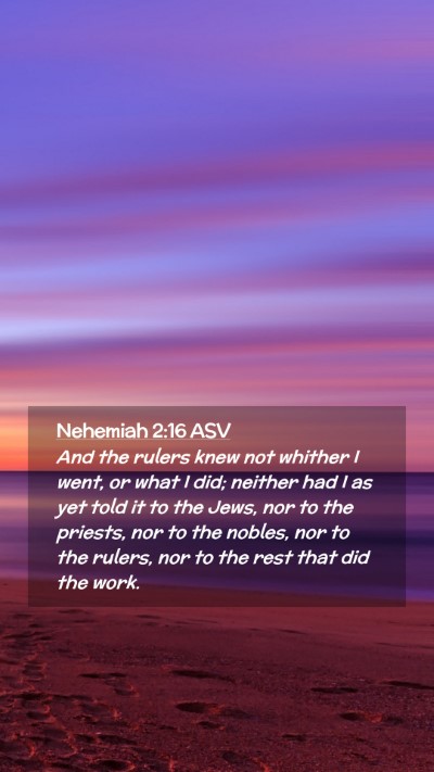 Picture 02 - Nehemiah 2:16 ASV Mobile Phone Wallpaper - And the rulers knew not whither I went, or what I - Mobile Bible Verse Wallpaper