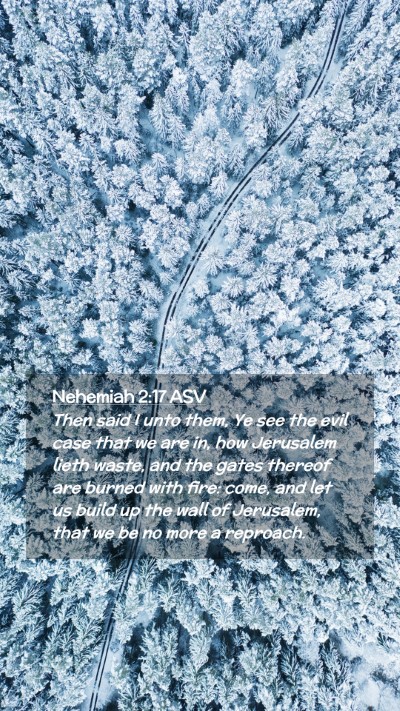 Picture 02 - Nehemiah 2:17 ASV Mobile Phone Wallpaper - Then said I unto them, Ye see the evil case that - Mobile Bible Verse Wallpaper
