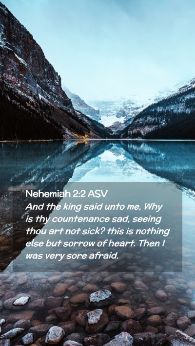 Picture 02 - Nehemiah 2:2 ASV Mobile Phone Wallpaper - And the king said unto me, Why is thy countenance - Mobile Bible Verse Wallpaper