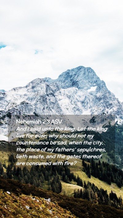 Picture 02 - Nehemiah 2:3 ASV Mobile Phone Wallpaper - And I said unto the king, Let the king live for - Mobile Bible Verse Wallpaper