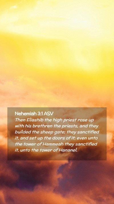 Picture 02 - Nehemiah 3:1 ASV Mobile Phone Wallpaper - Then Eliashib the high priest rose up with his - Mobile Bible Verse Wallpaper