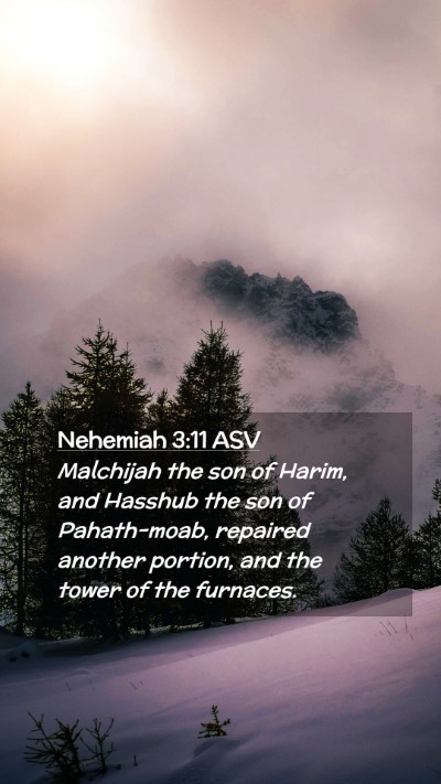 Picture 02 - Nehemiah 3:11 ASV Mobile Phone Wallpaper - Malchijah the son of Harim, and Hasshub the son - Mobile Bible Verse Wallpaper