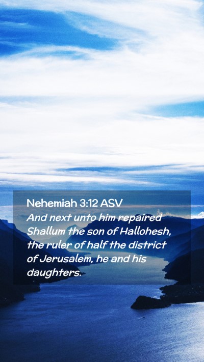 Picture 02 - Nehemiah 3:12 ASV Mobile Phone Wallpaper - And next unto him repaired Shallum the son of - Mobile Bible Verse Wallpaper
