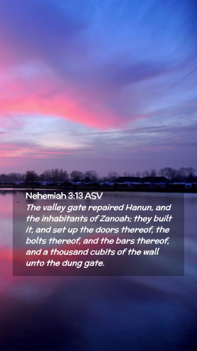 Picture 02 - Nehemiah 3:13 ASV Mobile Phone Wallpaper - The valley gate repaired Hanun, and the - Mobile Bible Verse Wallpaper