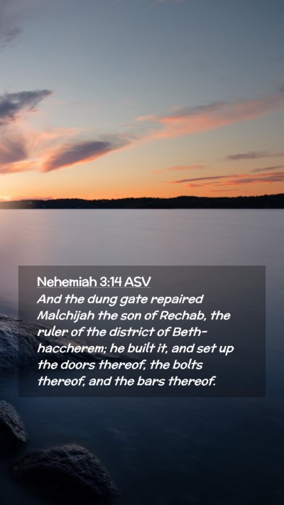 Picture 02 - Nehemiah 3:14 ASV Mobile Phone Wallpaper - And the dung gate repaired Malchijah the son of - Mobile Bible Verse Wallpaper