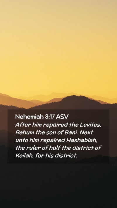Picture 02 - Nehemiah 3:17 ASV Mobile Phone Wallpaper - After him repaired the Levites, Rehum the son of - Mobile Bible Verse Wallpaper