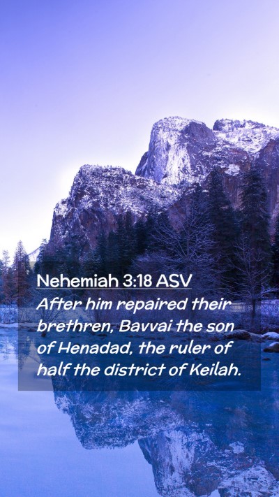 Picture 02 - Nehemiah 3:18 ASV Mobile Phone Wallpaper - After him repaired their brethren, Bavvai the son - Mobile Bible Verse Wallpaper