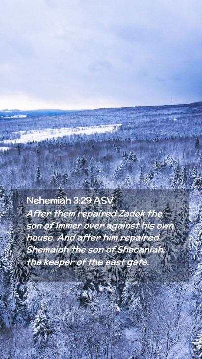 Picture 02 - Nehemiah 3:29 ASV Mobile Phone Wallpaper - After them repaired Zadok the son of Immer over - Mobile Bible Verse Wallpaper