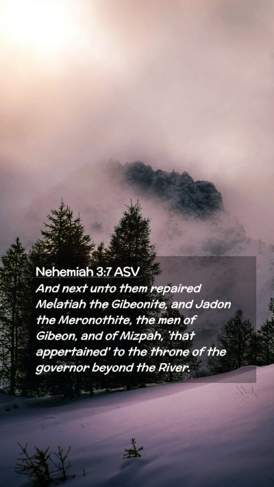 Picture 02 - Nehemiah 3:7 ASV Mobile Phone Wallpaper - And next unto them repaired Melatiah the - Mobile Bible Verse Wallpaper