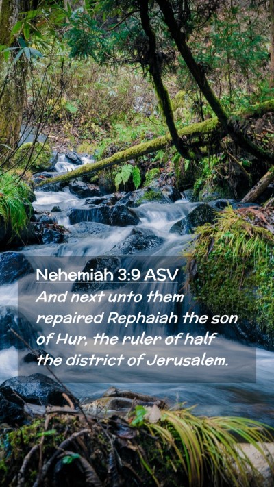 Picture 02 - Nehemiah 3:9 ASV Mobile Phone Wallpaper - And next unto them repaired Rephaiah the son of - Mobile Bible Verse Wallpaper