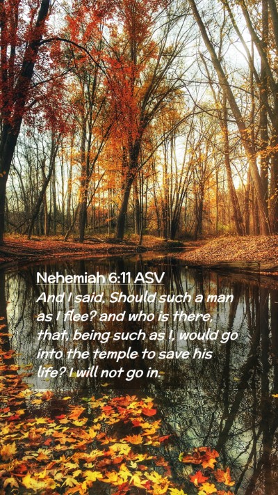 Picture 02 - Nehemiah 6:11 ASV Mobile Phone Wallpaper - And I said, Should such a man as I flee? and who - Mobile Bible Verse Wallpaper
