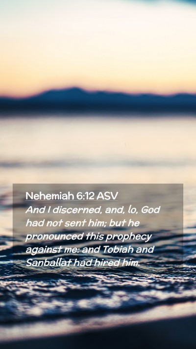 Picture 02 - Nehemiah 6:12 ASV Mobile Phone Wallpaper - And I discerned, and, lo, God had not sent him; - Mobile Bible Verse Wallpaper