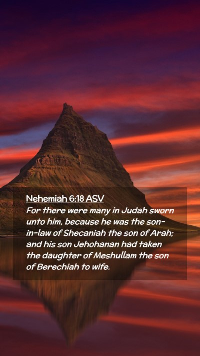Picture 02 - Nehemiah 6:18 ASV Mobile Phone Wallpaper - For there were many in Judah sworn unto him, - Mobile Bible Verse Wallpaper