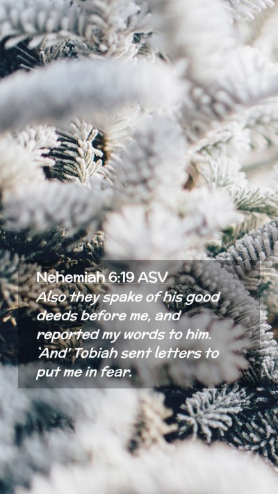 Picture 02 - Nehemiah 6:19 ASV Mobile Phone Wallpaper - Also they spake of his good deeds before me, and - Mobile Bible Verse Wallpaper