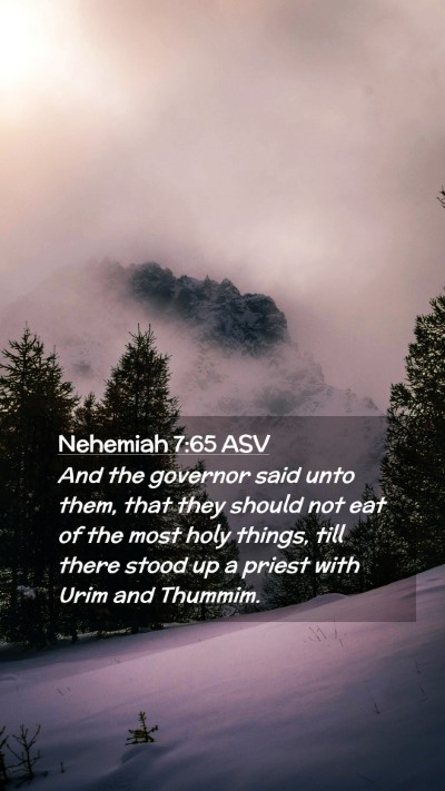 Picture 02 - Nehemiah 7:65 ASV Mobile Phone Wallpaper - And the governor said unto them, that they should - Mobile Bible Verse Wallpaper