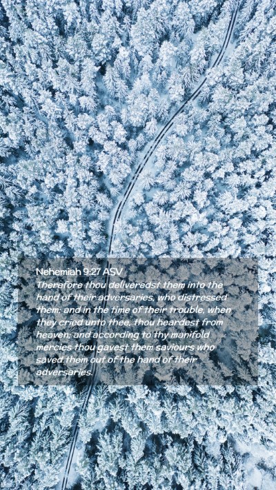 Picture 02 - Nehemiah 9:27 ASV Mobile Phone Wallpaper - Therefore thou deliveredst them into the hand of - Mobile Bible Verse Wallpaper