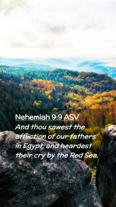 Picture 02 - Nehemiah 9:9 ASV Mobile Phone Wallpaper - And thou sawest the affliction of our fathers in - Mobile Bible Verse Wallpaper