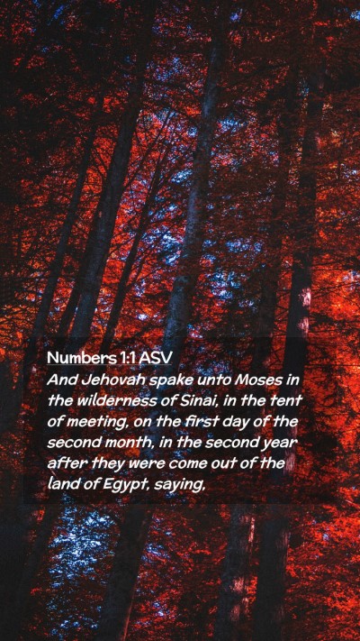 Picture 02 - Numbers 1:1 ASV Mobile Phone Wallpaper - And Jehovah spake unto Moses in the wilderness of - Mobile Bible Verse Wallpaper