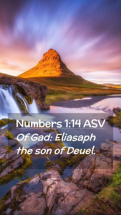 Picture 02 - Numbers 1:14 ASV Mobile Phone Wallpaper - Of Gad: Eliasaph the son of - Mobile Bible Verse Wallpaper