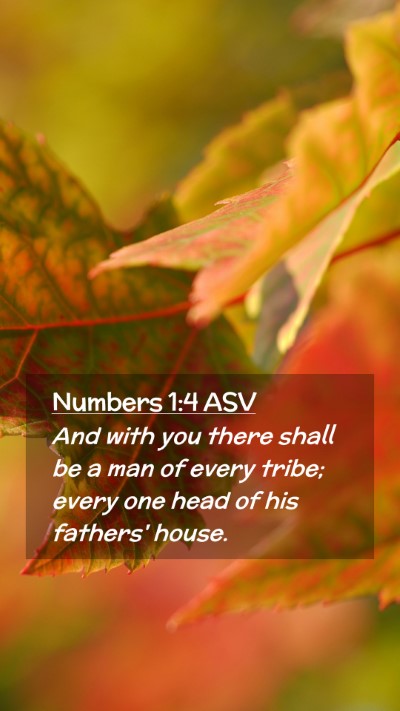 Picture 02 - Numbers 1:4 ASV Mobile Phone Wallpaper - And with you there shall be a man of every tribe; - Mobile Bible Verse Wallpaper