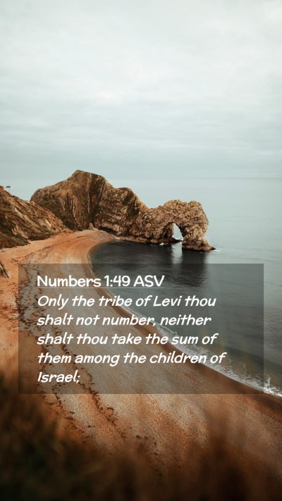 Picture 02 - Numbers 1:49 ASV Mobile Phone Wallpaper - Only the tribe of Levi thou shalt not number, - Mobile Bible Verse Wallpaper