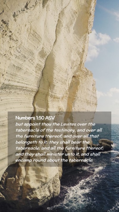 Picture 02 - Numbers 1:50 ASV Mobile Phone Wallpaper - but appoint thou the Levites over the tabernacle - Mobile Bible Verse Wallpaper