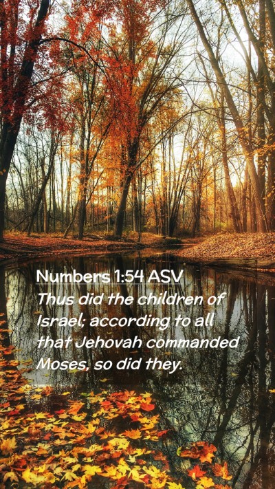 Picture 02 - Numbers 1:54 ASV Mobile Phone Wallpaper - Thus did the children of Israel; according to all - Mobile Bible Verse Wallpaper